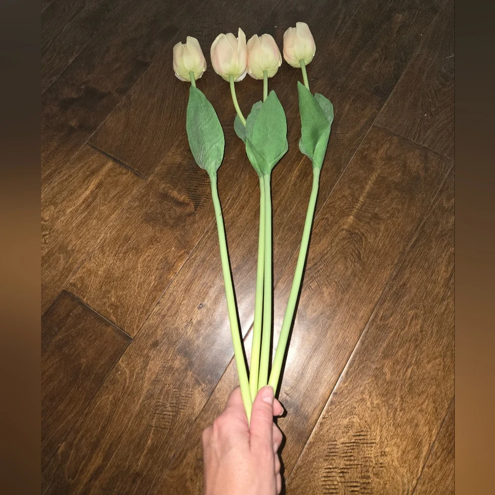 🌟Set Of 4 Elegant Cream Tulip Stems